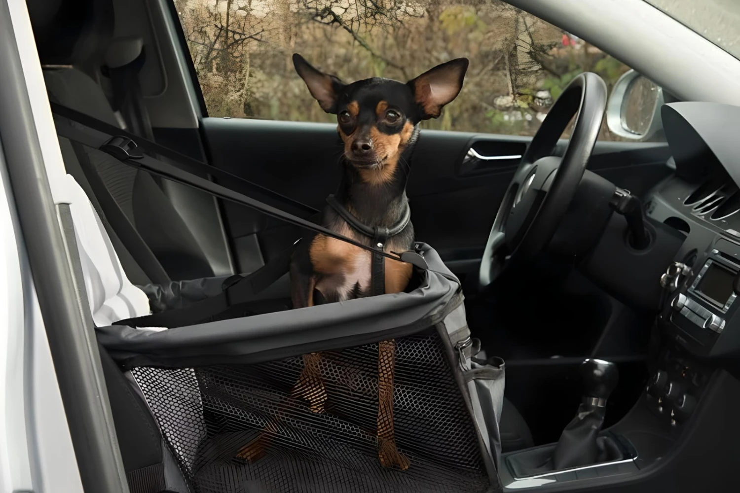 Toyota Highlander Dog Carrier Car Seat for Toy Manchester Terrier