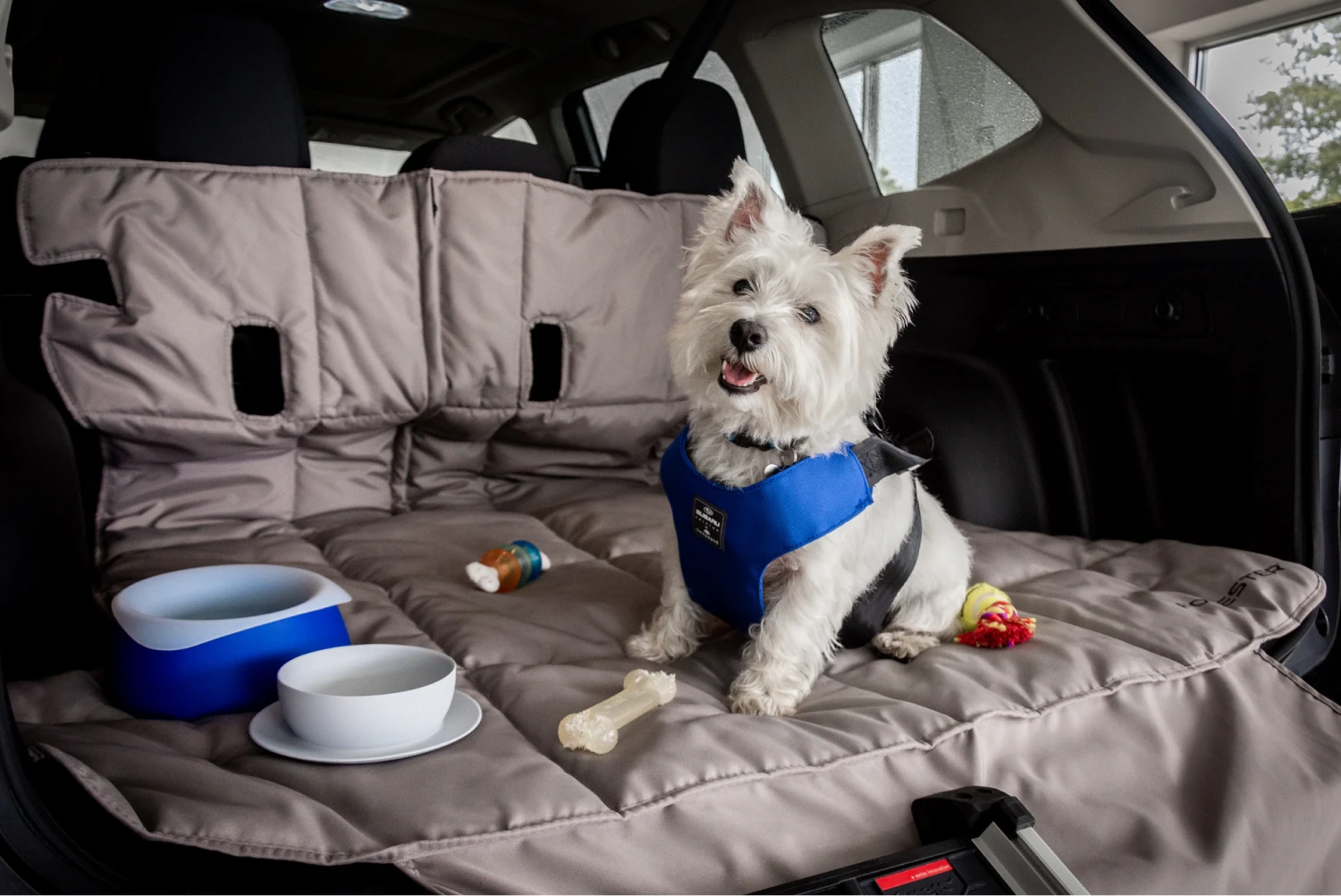 Subaru Forester organization ideas