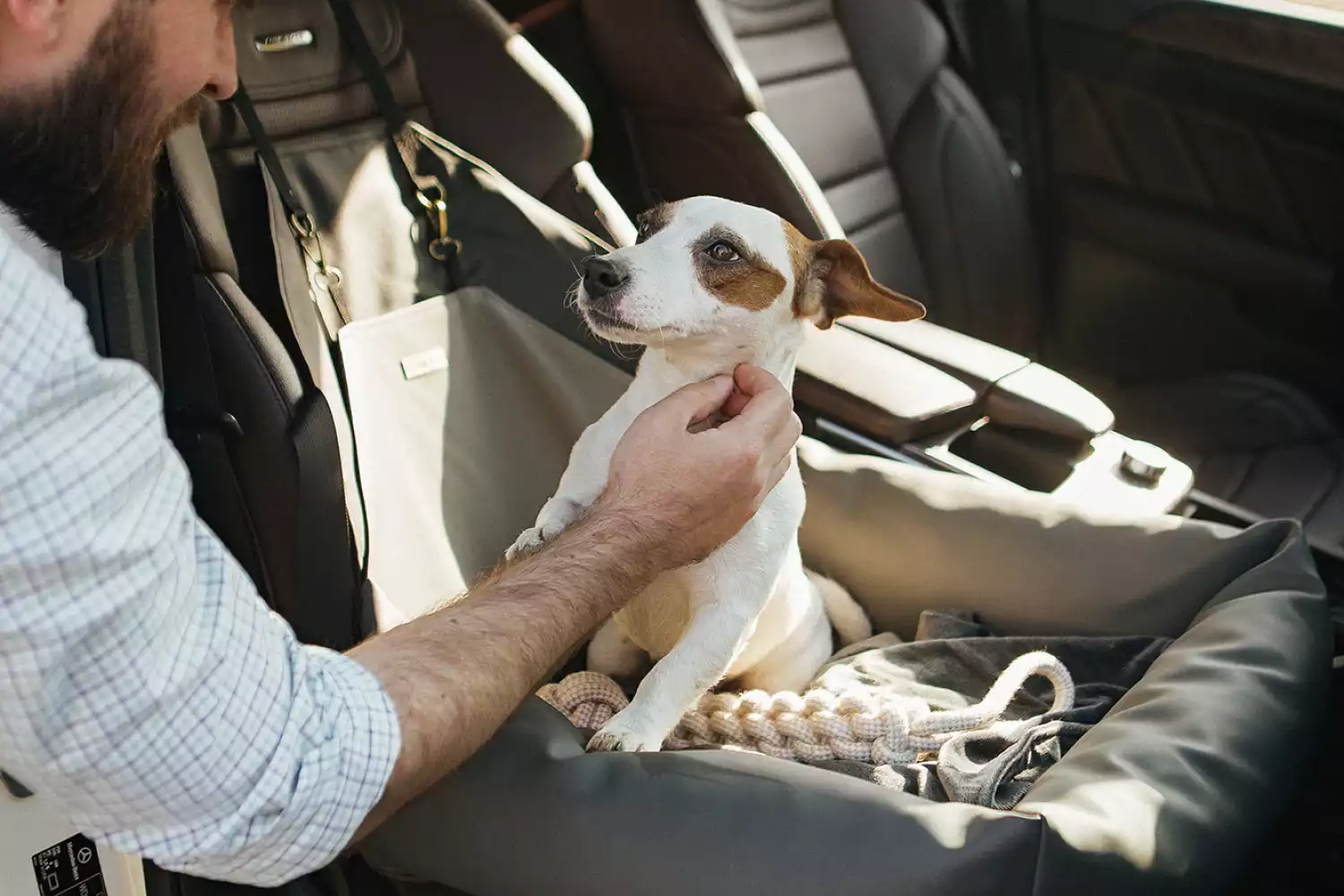 Chevrolet Blazer Dog Car Seat for Basenjis