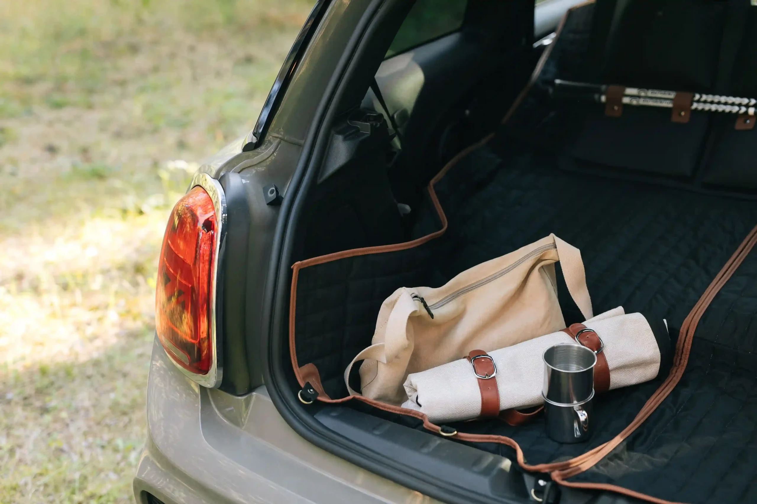 picnic blanket near me