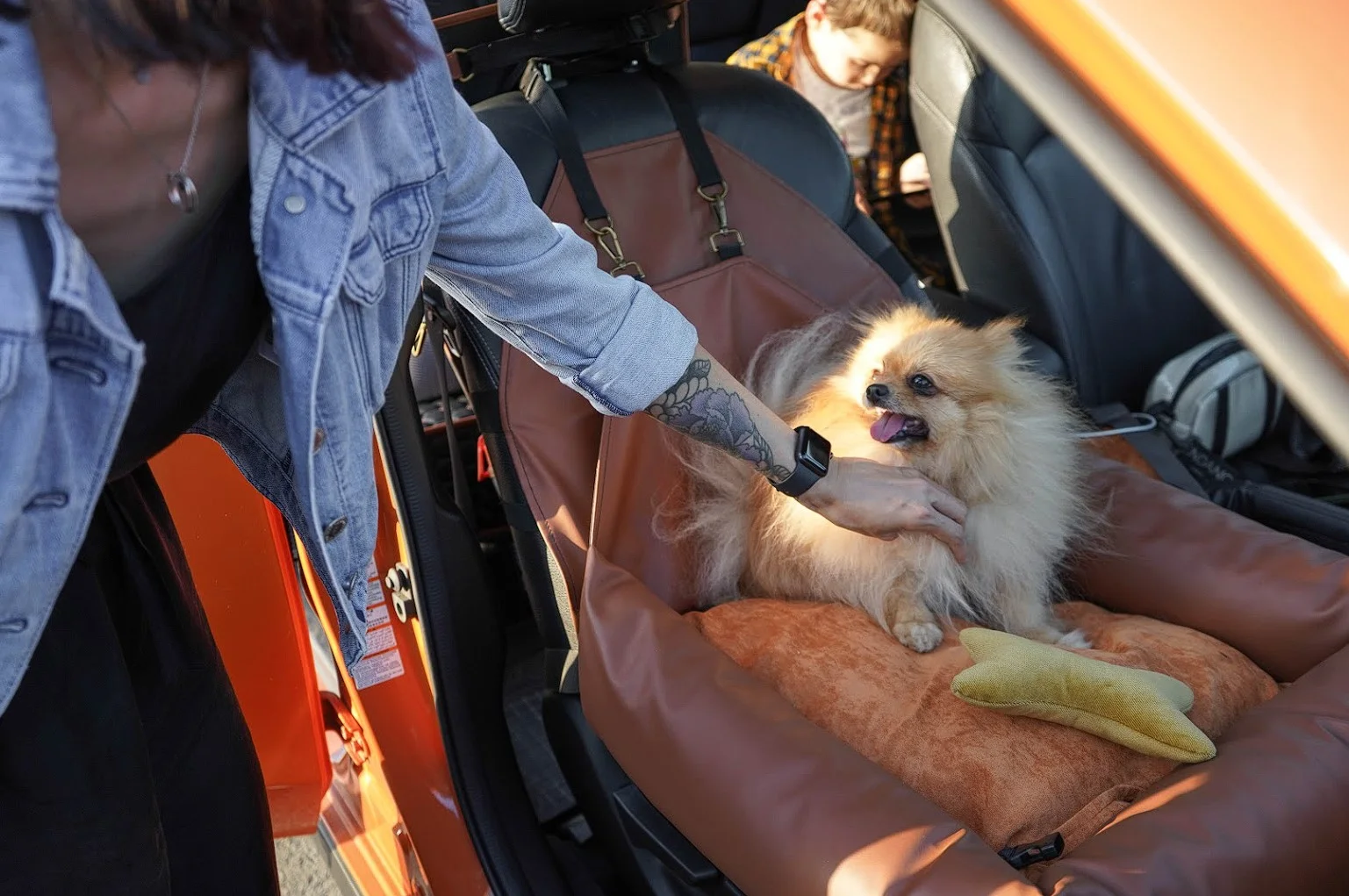 Ram Truck Dog Car Seat for Shiba Inu